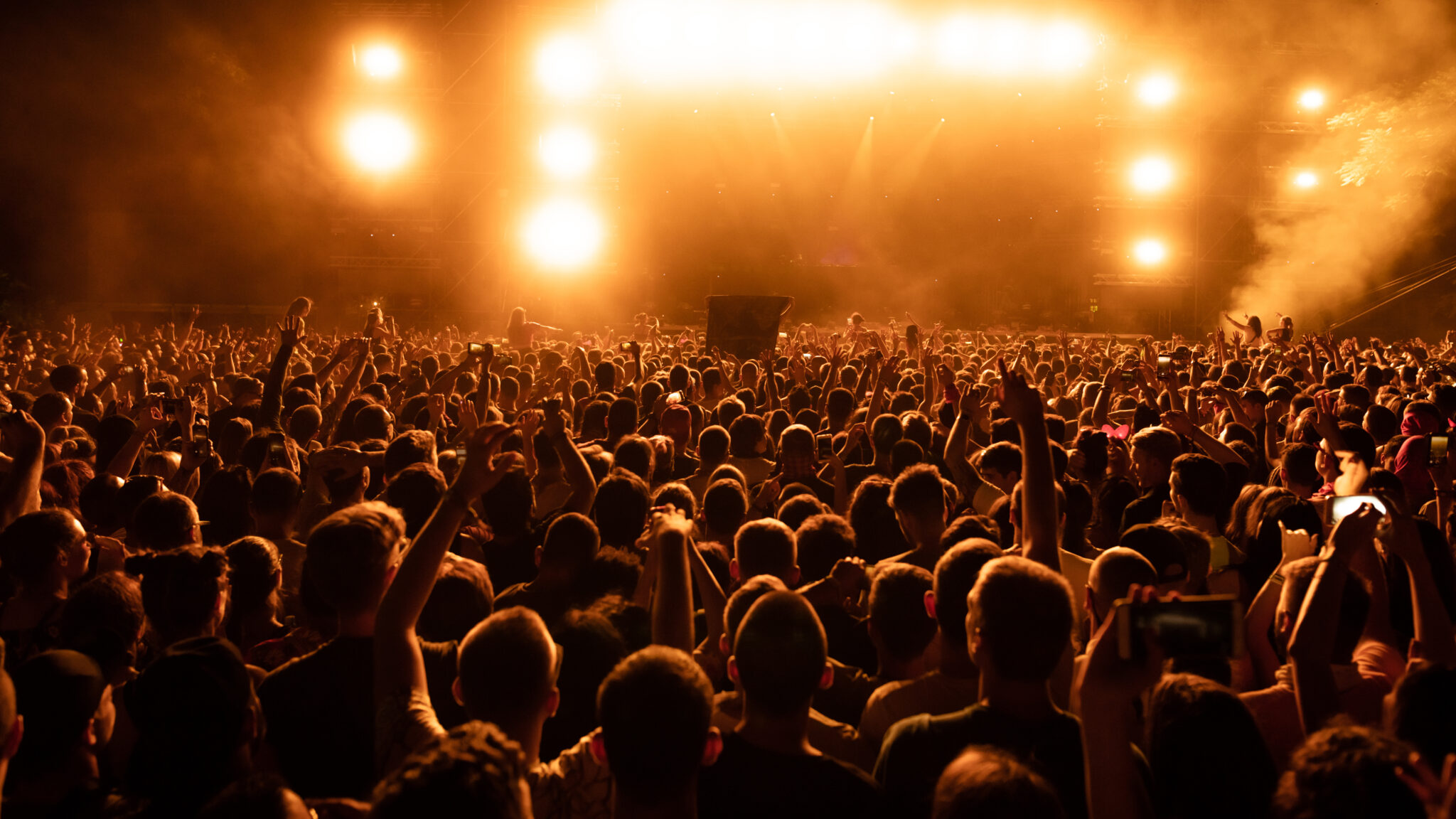 Público en un concierto
